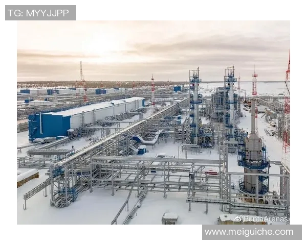 亚马尔地区的能源开发与国际合作前景分析及其对全球市场的影响